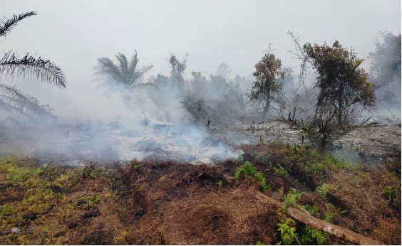 bagaimana-seharusnya-atasi-kebakaran-hutan-dan-lahan-di-riau?-[2]