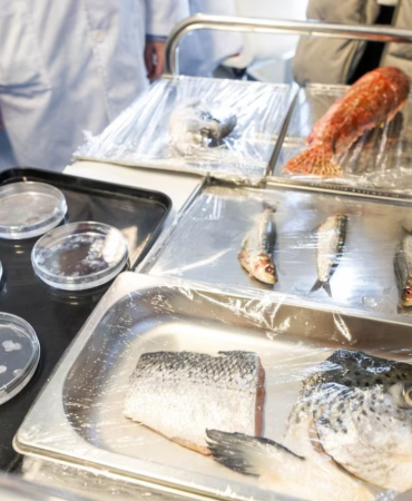 ilmuwan-spanyol-ciptakan-kornea-buatan-dari-sisik-ikan,-lebih-murah!