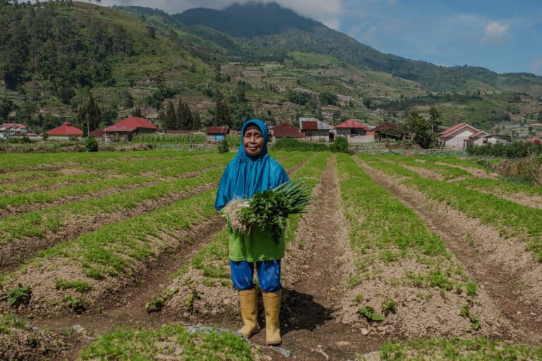 pemerintah-sumbar-akui-minim-sosialisasi-proyek-panas-bumi-gunung-talang