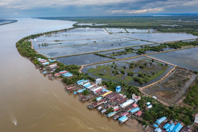upaya-warga-jaga-mangrovve-demi-tambak-berkelanjutan-di-berau