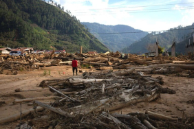 tutupan-hutan-aceh-berkurang-puluhan-ribu-hektar-sepanjang-2025