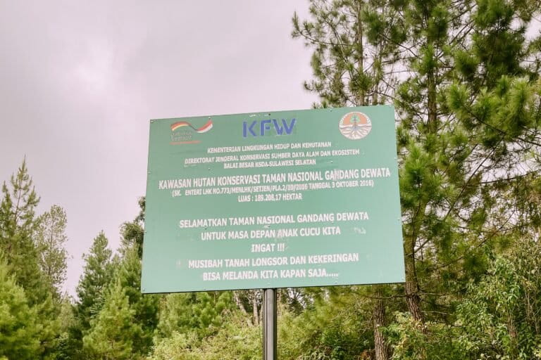 kolonialisme-dalam-tata-kelola-kehutanan-rentan-singkirkan-masyarakat-adat