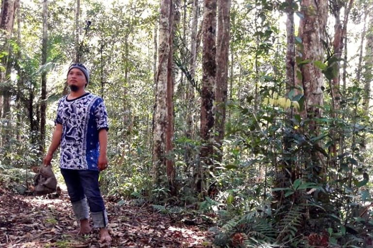pegiat-lingkungan-waswas-satgas-pembiayaan-taman-nasional-bahayakan-kawasan-konservasi