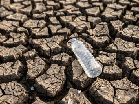 indonesia-berpotensi-hadapi-kemarau-panjang,-brin-soroti-fenomena-‘godzilla’-el-nino
