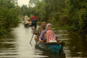 kerusakan-das-barito-dan-maluka-picu-bencana-kalsel