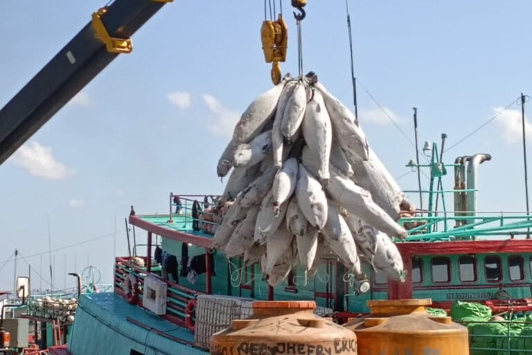 laporan-ungkap-dugaan-kerja-paksa-industri-tuna-indonesia-yang-ekspor-ke-australia
