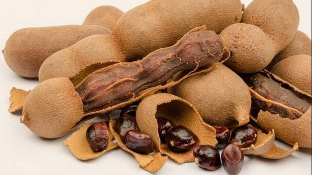 biji-asam-ternyata-bisa-jadi-solusi-untuk-limbah-akuakultur