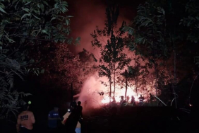 kebakaran-hutan-dan-lahan-mulai-landa-kaltara