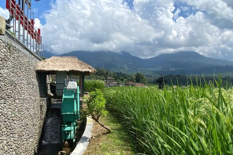 menilik-peluang-pekerjaan-hijau-di-ntt