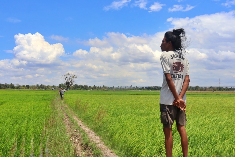 ketika-sawah-di-wanga-kesulitan-sumber-air