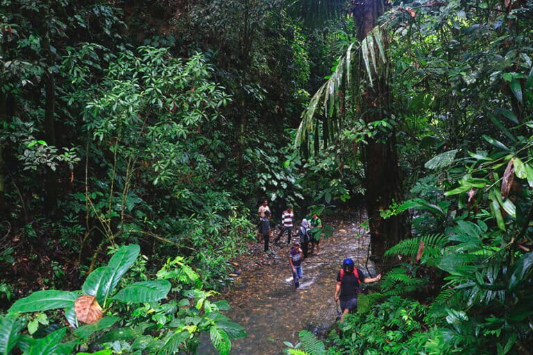 komisi-informasi-aceh-putuskan-data-hgu-terbuka-untuk-publik