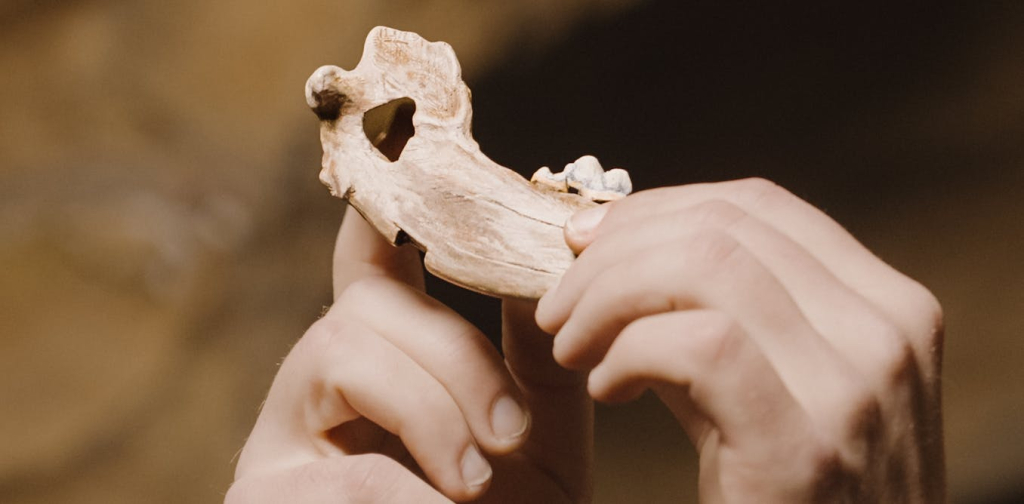 ancient-bones-show-dogs-have-been-woven-into-human-life-for-nearly-16,000-years