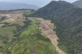 menanti-langkah-pemerintah-pasca-cabut-izin-pt-toba-pulp-lestari