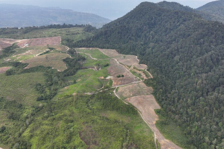 menanti-langkah-pemerintah-pasca-cabut-izin-pt-toba-pulp-lestari