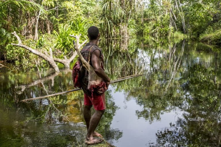kala-masyarakat-adat-papua-protes-pelepasan-hampir-500-ribu-hektar-kawasan-hutan