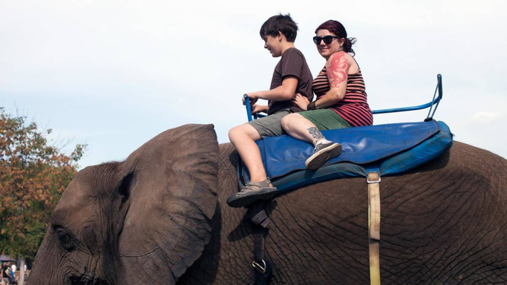 penghapusan-atraksi-gajah-tunggang-yang-perlu-diapresiasi-dan-dikawal