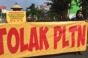 para-ahli-sebut-rencana-proyek-pltn-tak-realistis-dan-berbahaya