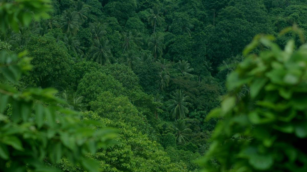 legenda-tuan-bagunda-raja-dan-manuk-si-nanggur-dawa,-cerita-rakyat-dari-sumatera-utara