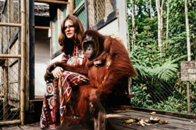 totalitas-birute-galdikas-untuk-orangutan-kalimantan-[2]