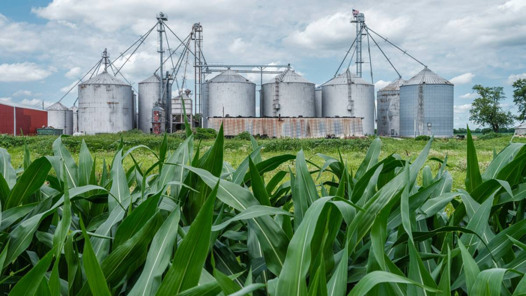 harga-minyak-dunia-naik,-indonesia-didorong-gunakan-bahan-bakar-nabati