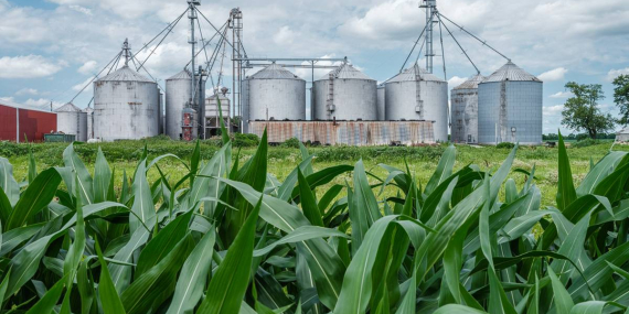 Harga Minyak Dunia Naik, Indonesia Didorong Gunakan Bahan Bakar Nabati