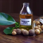 brin-kembangkan-biofuel-hutan,-nyamplung-digadang-jadi-jalan-keluar-impor-bbm