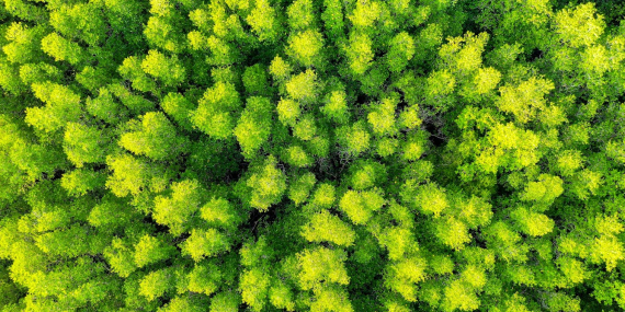 effective-storytelling-can-encourage-climate-action-from-policymakers-and-the-public