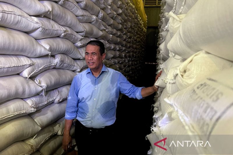 mentan:-stok-beras-ri-stabil-4,5-juta-ton-di-tengah-gejolak-timteng