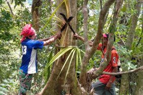 akankah-perlindungan-masyarakat-adat-di-nusantara-ini-terwujud?