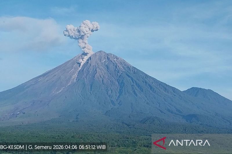 gunung-semeru-erupsi-7-kali-senin-pagi,-tinggi-letusan-mencapai-1,1-km
