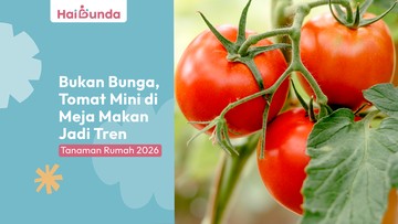 bukan-bunga,-tomat-mini-di-meja-makan-jadi-tren-tanaman-rumah-2026