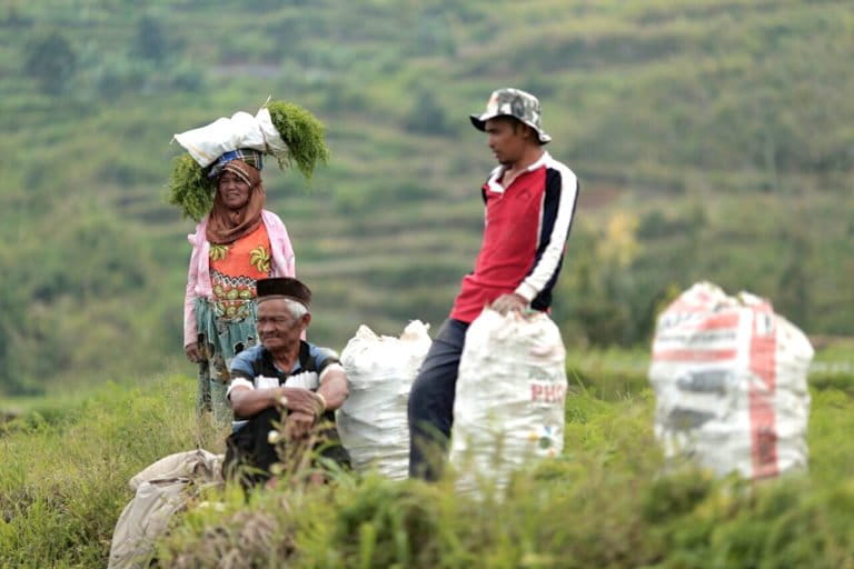 riset-temukan-dugaan-pelanggaran-ham-pada-proyek-panas-bumi