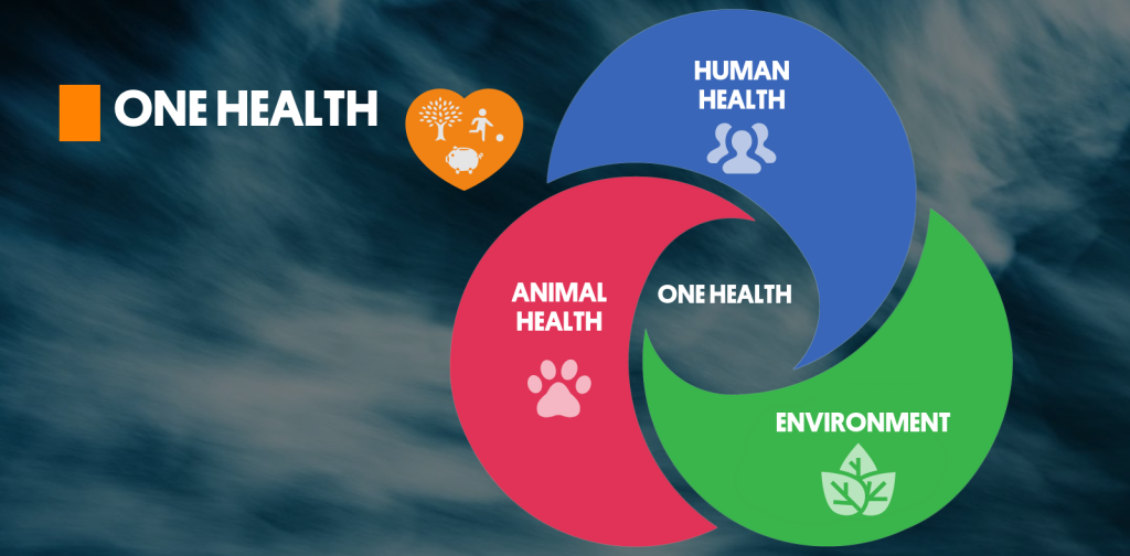 mewujudkan-visi-one-health-menjadi-tindakan-nyata-dengan-inisiatif-baru