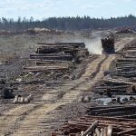 angka-deforestasi-meningkat,-bayang-bayang-krisis-dan-bencana-mengintai