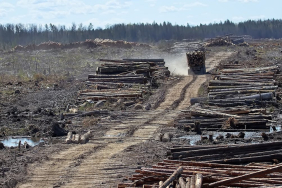 angka-deforestasi-meningkat,-bayang-bayang-krisis-dan-bencana-mengintai