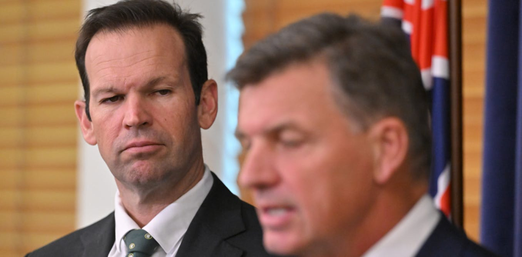 grattan-on-friday:-taylor-and-canavan-are-chalk-and-cheese-–-and-that’s-a-problem-for-taylor