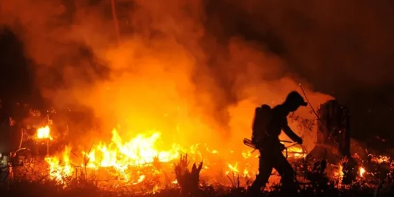 23.546 Titik Panas Panggang Gambut sebelum Puncak El Nino “Godzilla” 2026