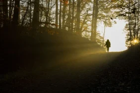 cinta-adalah-jalan-menuju-kebaikan-dan-kebahagiaan