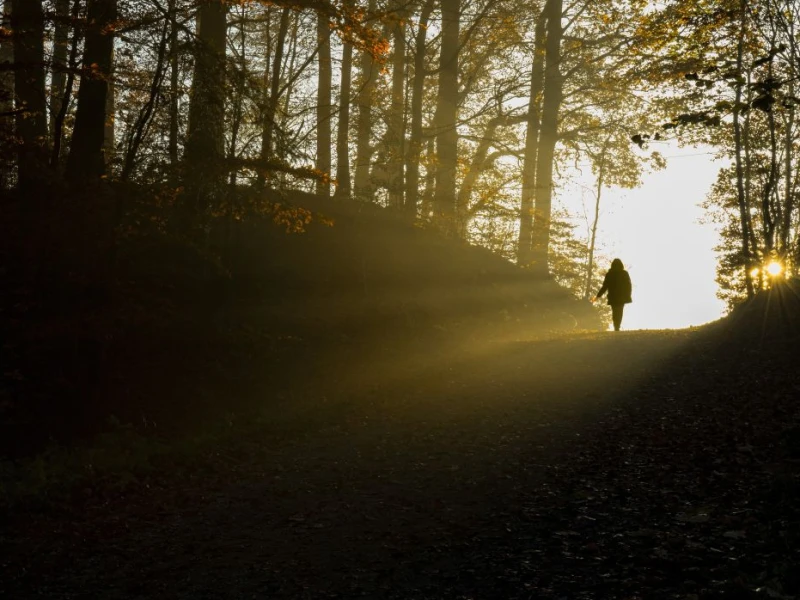 cinta-adalah-jalan-menuju-kebaikan-dan-kebahagiaan
