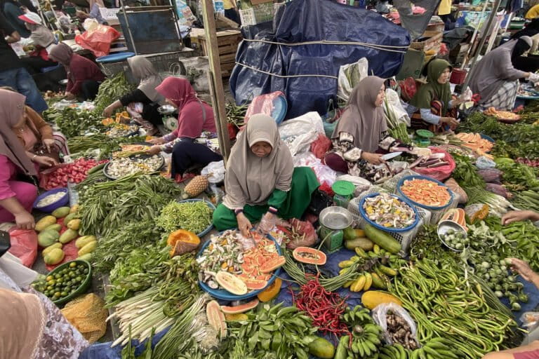 menghidupkan-kembali-tradisi-menanam-sayur-di-bangka-belitung