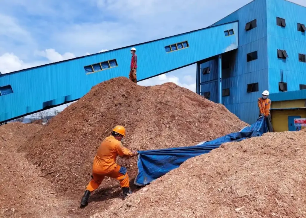 cofiring-batu-bara-jadi-strategi-transisi-menuju-energi-lebih-bersih