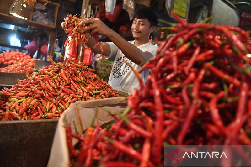sabtu,-harga-cabai-rawit-merah-rp83100/kg,-telur-ayam-rp32.550/kg