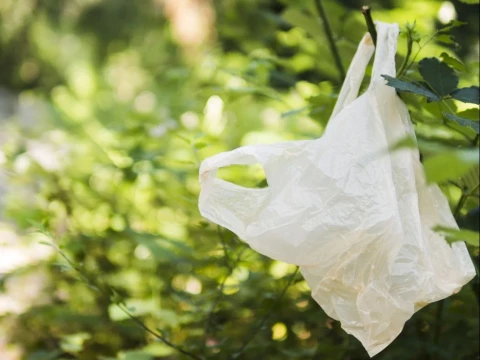 harga-naik-belum-mengubah-perilaku,-walhi-desak-pemerintah-tegas-batasi-produksi-plastik