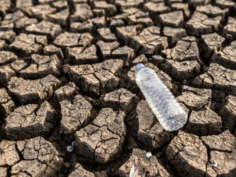 walhi-peringatkan-ancaman-el-nino-ekstrem,-picu-risiko-kekeringan-dan-krisis-pangan