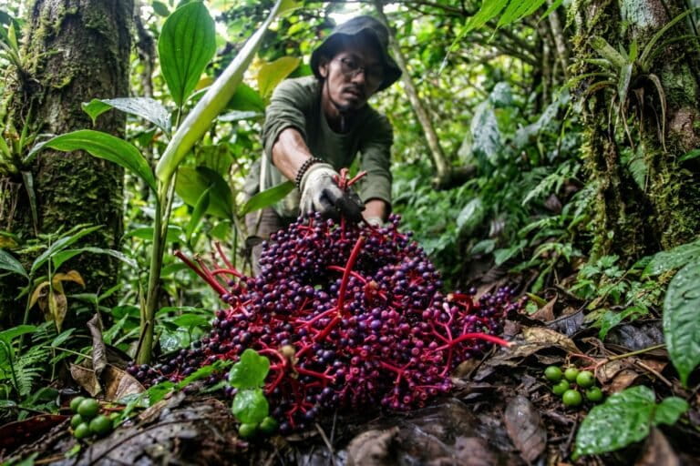 gunung-muria:-jantung-ekologi-yang-tersisa