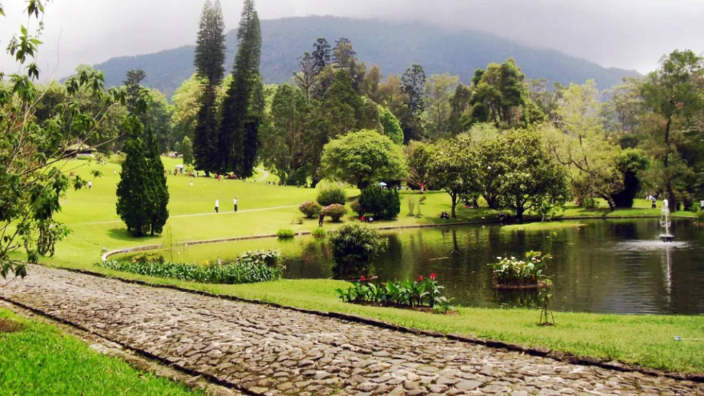 terbesar-di-indonesia,-taman-lumut-kebun-raya-cibodas-kini-direvitalisasi