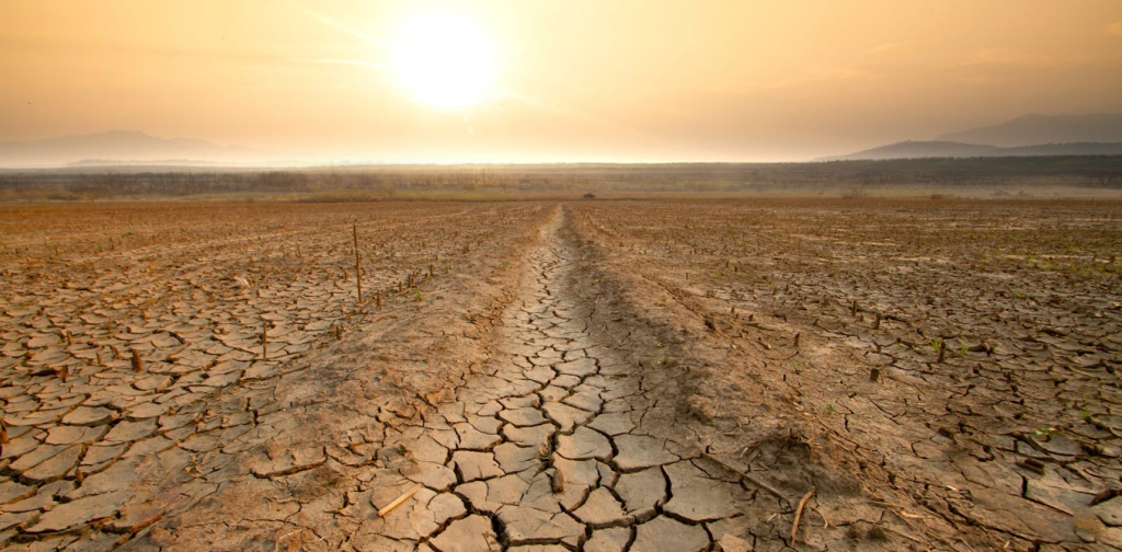 drought-could-be-making-antibiotic-resistance-worse,-scientists-say