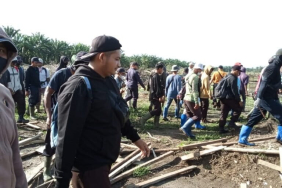 konflik-agraria-menahun-di-kebun-sawit-sinar-mas,-padang-halaban-ricuh-lagi