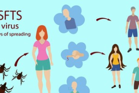 kutu-pembawa-virus-sebabkan-422-kematian-di-korea-selatan,-ini-gejala-yang-perlu-diwaspadai