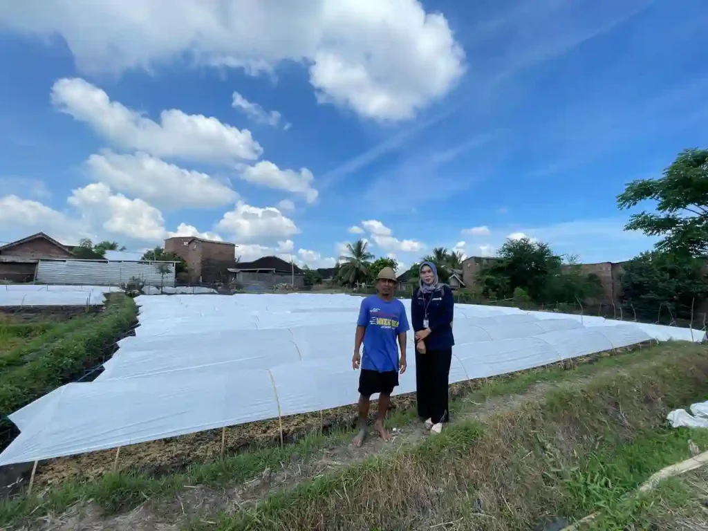 kisah-mantri-bri-di-lombok-dorong-ekonomi-petani